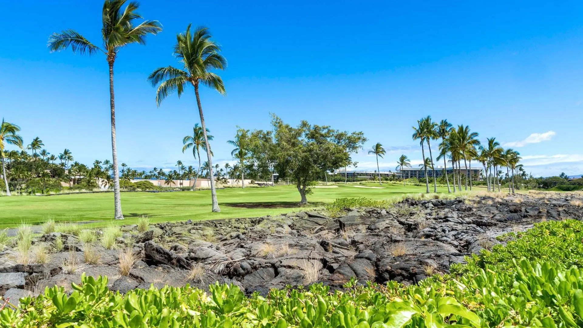 The Shores At Waikoloa 5 0*,